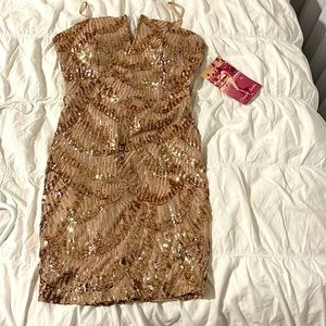 Blush Sparkly Dress